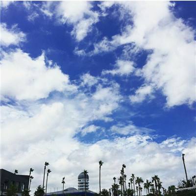 金沙8888js官方截图